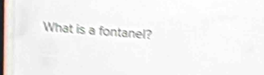 What is a fontanel?