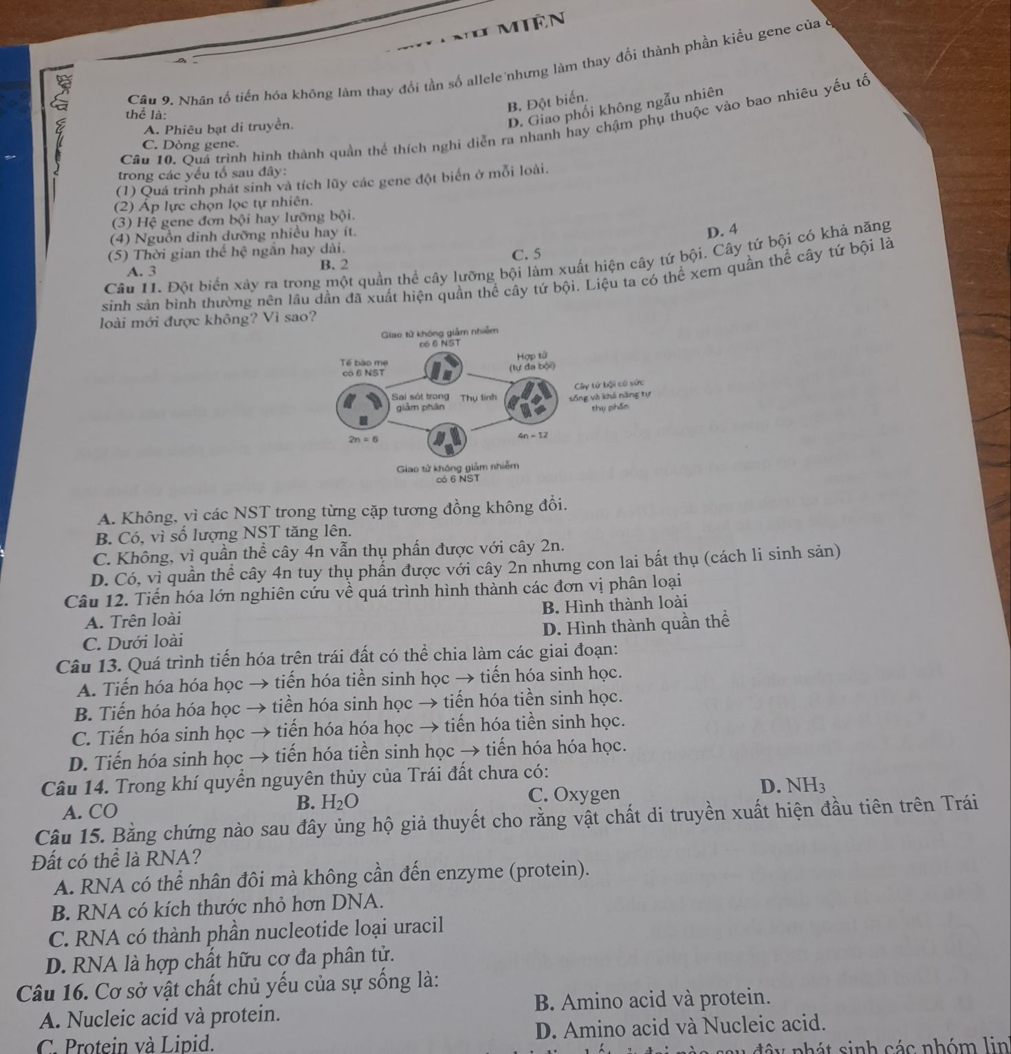 N' Miên
noe
Câu 9. Nhân tố tiến hóa không làm thay đổi tần số allele nhưng làm thay đổi thành phần kiểu gene của ở
B. Đột biến.
thể là:
Câu 10. Quả trình hình thành quản thể thích nghi diễn ra nhanh hay chậm phụ thuộc vào bao nhiêu yếu tố
A. Phiêu bạt di truyền.
D. Giao phối không ngẫu nhiên
C. Dòng gene.
trong các yếu tổ sau đây:
(1) Quá trình phát sinh và tích lũy các gene đột biển ở mỗi loài.
(2) Áp lực chọn lọc tự nhiên.
(3) Hệ gene đơn bội hay lưỡng bội.
(4) Nguồn dinh dưỡng nhiều hay ít.
D. 4
(5) Thời gian t hc hệ ngắn hay dài.
B. 2 C. 5
Câu 11. Đột biển xảy ra trong một quần thể cây lưỡng bội làm xuất hiện cây tứ bội. Cây tứ bội có khả năng
A. 3
sinh sản bình thường nên lâu dần đã xuất hiện quần thể cây tứ bội. Liệu ta có thể xem quần thể cây tứ bội là
loài mới được không? Vì s
A. Không, vì các NST trong từng cặp tương đồng không đổi.
B. Có, vì số lượng NST tăng lên.
C. Không, vì quần thể cây 4n vẫn thụ phấn được với cây 2n.
D. Có, vì quần thể cây 4n tuy thụ phẩn được với cây 2n nhưng con lai bất thụ (cách li sinh sản)
Câu 12. Tiến hóa lớn nghiên cứu về quá trình hình thành các đơn vị phân loại
A. Trên loài B. Hình thành loài
D. Hình thành quần thể
C. Dưới loài
Câu 13. Quá trình tiến hóa trên trái đất có thể chia làm các giai đoạn:
A. Tiến hóa hóa học → tiến hóa tiền sinh học → tiến hóa sinh học.
B. Tiến hóa hóa học → tiền hóa sinh học → tiến hóa tiền sinh học.
C. Tiến hóa sinh học → tiến hóa hóa học → tiến hóa tiền sinh học.
D. Tiến hóa sinh học → tiến hóa tiền sinh học → tiến hóa hóa học.
Câu 14. Trong khí quyền nguyên thủy của Trái đất chưa có:
A. CO
B. H_2C C. Oxygen D. NH₃
Câu 15. Bằng chứng nào sau đây ủng hộ giả thuyết cho rằng vật chất di truyền xuất hiện đầu tiên trên Trái
Đất có thể là RNA?
A. RNA có thể nhân đôi mà không cần đến enzyme (protein).
B. RNA có kích thước nhỏ hơn DNA.
C. RNA có thành phần nucleotide loại uracil
D. RNA là hợp chất hữu cơ đa phân tử.
Câu 16. Cơ sở vật chất chủ yếu của sự sống là:
A. Nucleic acid và protein. B. Amino acid và protein.
C. Protein và Lipid. D. Amino acid và Nucleic acid.
s  s  s s u đây nhát sinh các nhóm linh