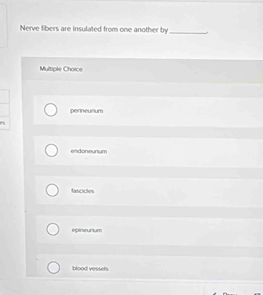 Nerve fibers are insulated from one another by _;
Multiple Choice
perineurium
es
endoneurium
fascicles
epineurium
blood vessels