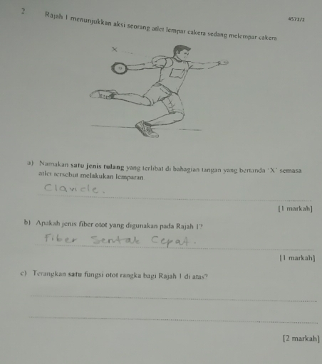 4572/2 
2 Rajah I menunjukkan aksi seorang atlet lempar cakera sedang melempar cakera 
a) Namakan safu jenis tulang yang terlibat di bahagian tangan yang bertanda "X" semasa 
atict tersebut melakukan lemparan 
_ 
[1 markah] 
b) Apakah jenis fiber otot yang digunakan pada Rajah 1? 
_ 
[ l markah] 
c Terangkan satu fungsi otot rangka bagi Rajah 1 di atas? 
_ 
_ 
[2 markah]