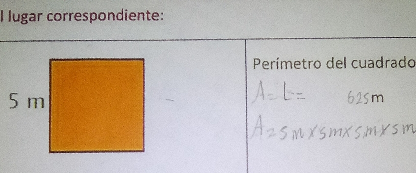 lugar correspondiente: 
Perímetro del cuadrado
m