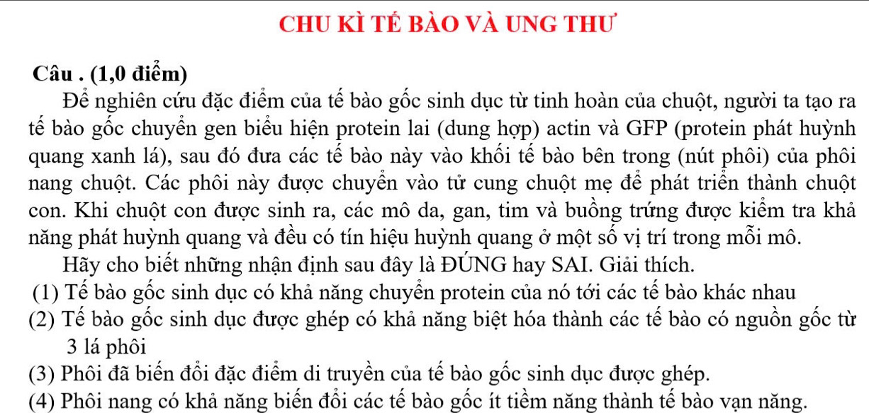 chu kì tẻ bào và ung thư
Câu . (1,0 điểm)
Để nghiên cứu đặc điểm của tế bào gốc sinh dục từ tinh hoàn của chuột, người ta tạo ra
tế bào gốc chuyển gen biểu hiện protein lai (dung hợp) actin và GFP (protein phát huỳnh
quang xanh lá), sau đó đưa các tế bào này vào khối tế bào bên trong (nút phôi) của phôi
nang chuột. Các phôi này được chuyền vào tử cung chuột mẹ để phát triển thành chuột
con. Khi chuột con được sinh ra, các mô da, gan, tim và buồng trứng được kiểm tra khả
năng phát huỳnh quang và đều có tín hiệu huỳnh quang ở một số vị trí trong mỗi mô.
Hãy cho biết những nhận định sau đây là ĐUNG hay SAI. Giải thích.
(1) Tể bào gốc sinh dục có khả năng chuyền protein của nó tới các tế bào khác nhau
(2) Tế bào gốc sinh dục được ghép có khả năng biệt hóa thành các tế bào có nguồn gốc từ
3 lá phôi
(3) Phôi đã biến đổi đặc điểm di truyền của tế bào gốc sinh dục được ghép.
(4) Phôi nang có khả năng biến đổi các tế bào gốc ít tiềm năng thành tế bào vạn năng.