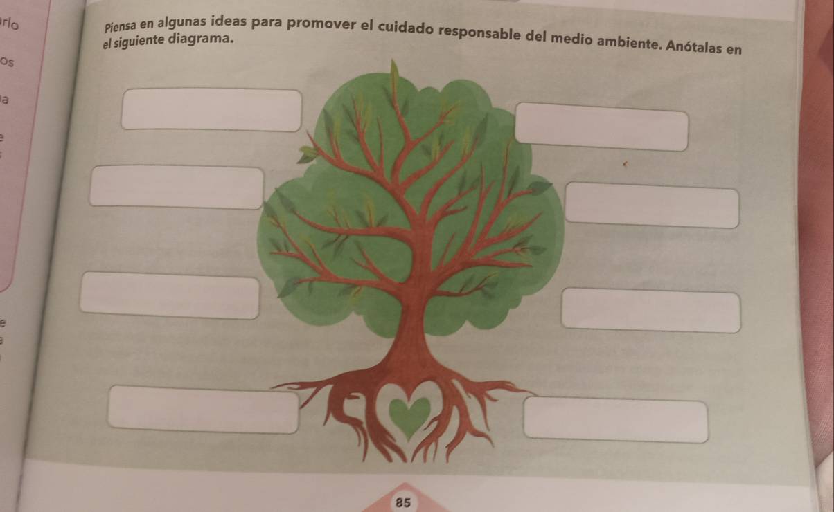 rlo 
Piensa en algunas ideas para promover el cuidado responsable del medio ambiente. Anótalas en 
el siguiente diagrama. 
Os 
a
85