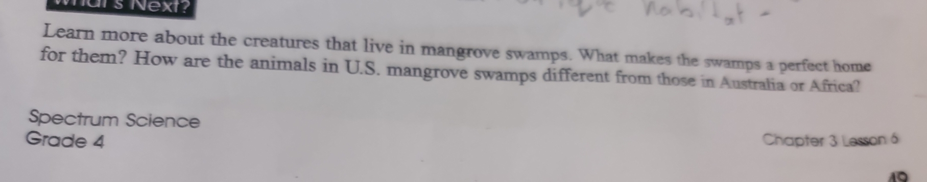 uts Next? 
Learn more about the creatures that live in mangrove swamps. What makes the swamps a perfect home 
for them? How are the animals in U.S. mangrove swamps different from those in Australia or Africa? 
Spectrum Science 
Grade 4 Chapter 3 Lesson 6