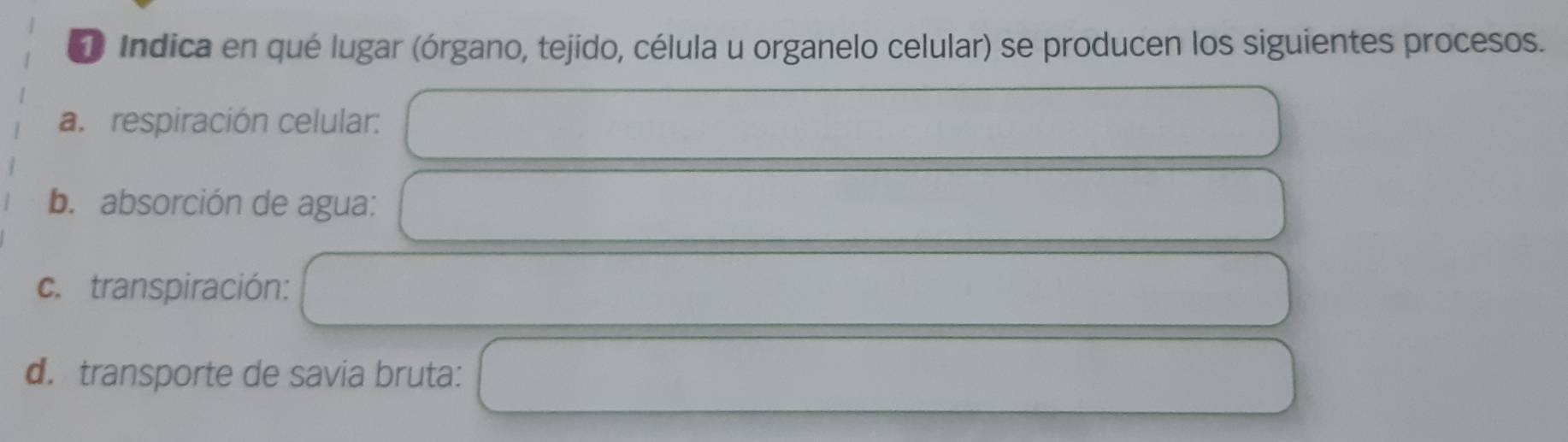 Indica en qué lugar (órgano, tejido, célula u organelo celular) se producen los siguientes procesos. 
a. respiración celular: 
b. absorción de agua: 
c. transpiración: 
d. transporte de savia bruta: □ 