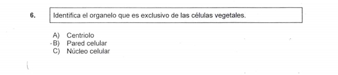 Identifica el organelo que es exclusivo de las células vegetales.
A) Centriolo
-B) Pared celular
C) Núcleo celular