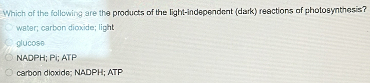 Which of the following are the products of the light-independent (dark) reactions of photosynthesis?
water; carbon dioxide; light
glucose
NADPH; Pi; ATP
carbon dioxide; NADPH; ATP