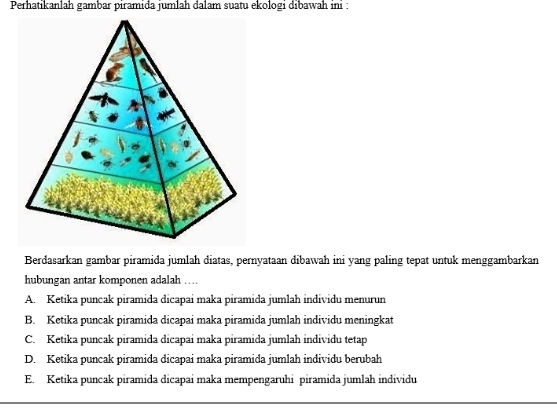 Perhatikanlah gambar piramida jumlah dalam suatu ekologi dibawah ini :
Berdasarkan gambar piramida jumlah diatas, pernyataan dibawah ini yang paling tepat untuk menggambarkan
hubungan antar komponen adalah …
A. Ketika puncak piramida dicapai maka piramida jumlah individu menurun
B. Ketika puncak piramida dicapai maka piramida jumlah individu meningkat
C. Ketika puncak piramida dicapai maka piramida jumlah individu tetap
D. Ketika puncak piramida dicapai maka piramida jumlah individu berubah
E. Ketika puncak piramida dicapai maka mempengaruhi piramida jumlah individu