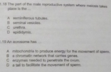 Solved: 1.18 The part of the male reproductive system where meiosis ...
