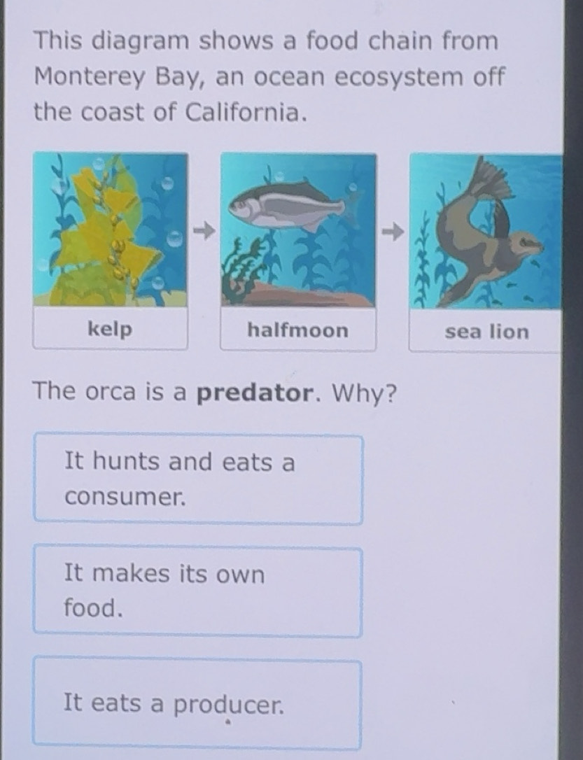 Solved: This diagram shows a food chain from Monterey Bay, an ocean ...