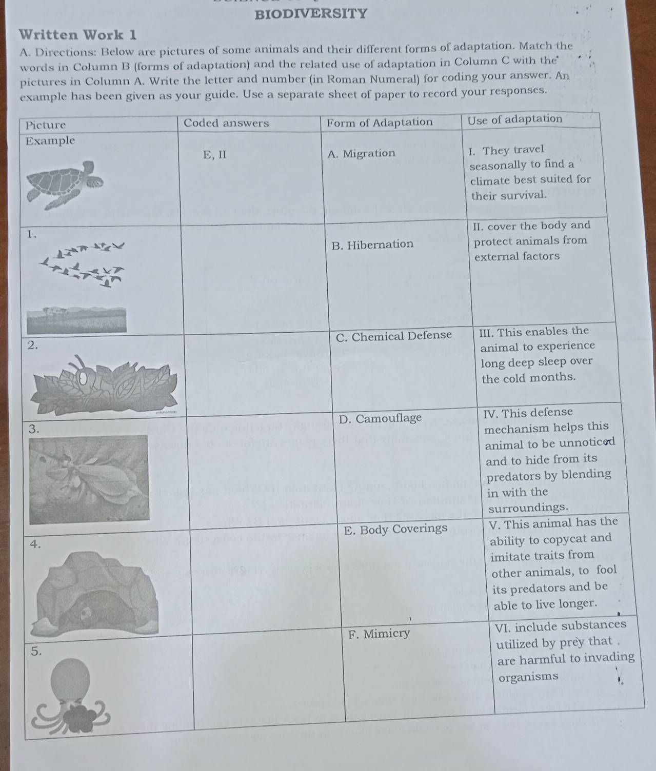 BIODIVERSITY 
Written Work 1 
A. Directions: Below are pictures of some animals and their different forms of adaptation. Match the 
words in Column B (forms of adaptation) and the related use of adaptation in Column C with the* 
pictures in Column A. Write the letter and number (in Roman Numeral) for coding your answer. An 
exaper to record your responses. 
Pi 
E 
1. 
2 
3 
s 
5 
ng