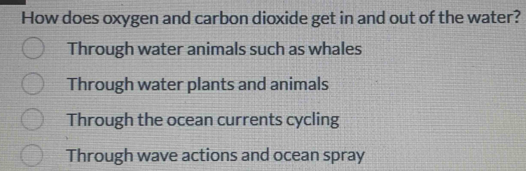 How does oxygen and carbon dioxide get in and out of the water?
Through water animals such as whales
Through water plants and animals
Through the ocean currents cycling
Through wave actions and ocean spray