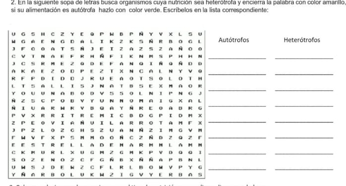 En la siguiente sopa de letras busca organismos cuya nutrición sea heterótrofa y encierra la palabra con color amarillo 
si su alimentación es autótrofa hazlo con color verde. Escríbelos en la lista correspondiente: