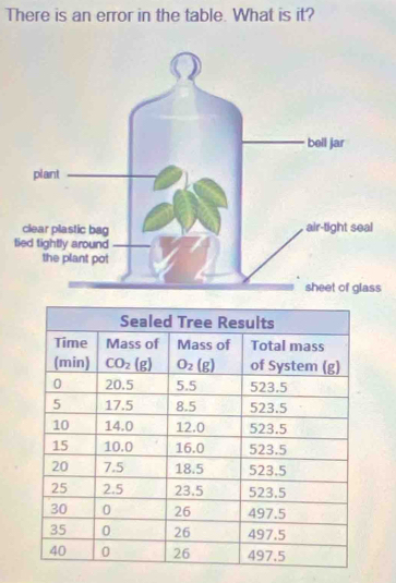 There is an error in the table. What is it?