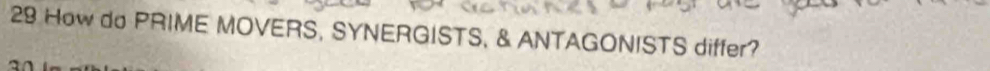 How do PRIME MOVERS, SYNERGISTS, & ANTAGONISTS differ?