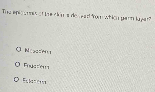 The epidermis of the skin is derived from which germ layer?
Mesoderm
Endoderm
Ectoderm