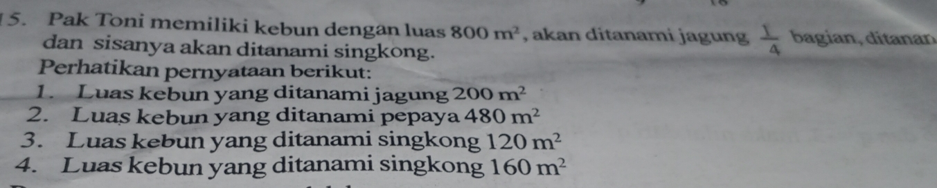 Pak Toni memiliki kebun dengan luas 800m^2 , akan ditanami jagung  1/4  bagian, ditanan 
dan sisanya akan ditanami singkong. 
Perhatikan pernyataan berikut: 
1. Luas kebun yang ditanami jagung 200m^2
2. Luas kebun yang ditanami pepaya 480m^2
3. Luas kebun yang ditanami singkong 120m^2
4. Luas kebun yang ditanami singkong 160m^2