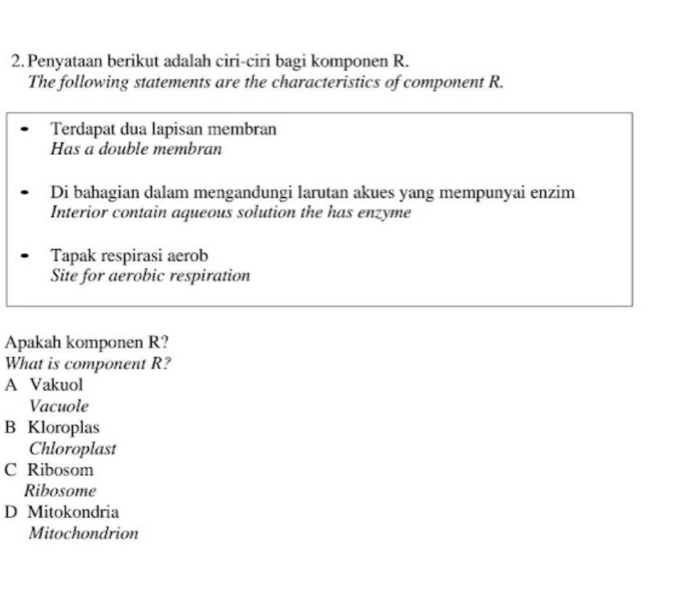 Penyataan berikut adalah ciri-ciri bagi komponen R.
The following statements are the characteristics of component R.
Terdapat dua lapisan membran
Has a double membran
Di bahagian dalam mengandungi larutan akues yang mempunyai enzim
Interior contain aqueous solution the has enzyme
Tapak respirasi aerob
Site for aerobic respiration
Apakah komponen R?
What is component R?
A Vakuol
Vacuole
B Kloroplas
Chloroplast
C Ribosom
Ribosome
D Mitokondria
Mitochondrion