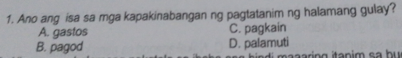 Ano ang isa sa mga kapakinabangan ng pagtatanim ng halamang gulay?
A. gastos C. pagkain
B. pagod D. palamuti