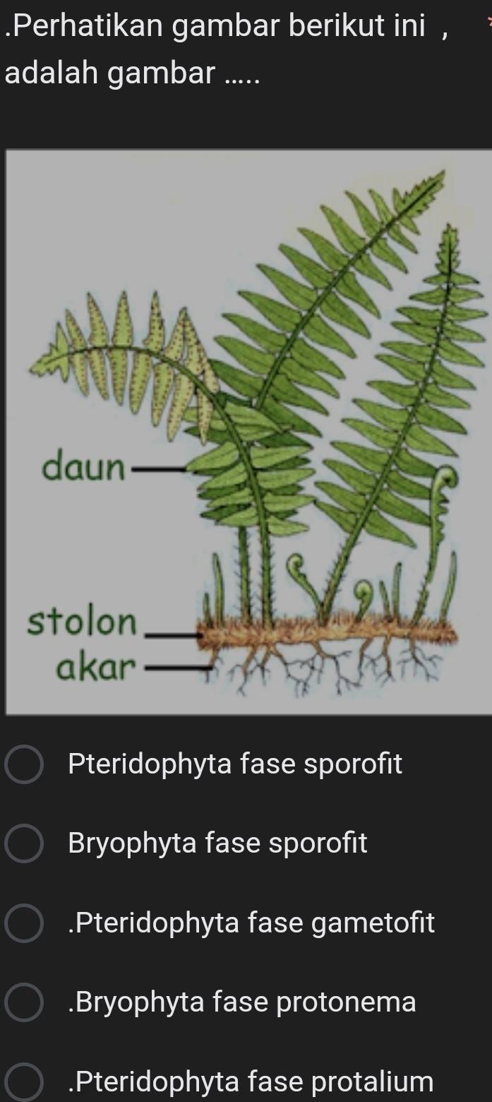 .Perhatikan gambar berikut ini ,
adalah gambar .....
Pteridophyta fase sporofit
Bryophyta fase sporofit.Pteridophyta fase gametofit.Bryophyta fase protonema.Pteridophyta fase protalium