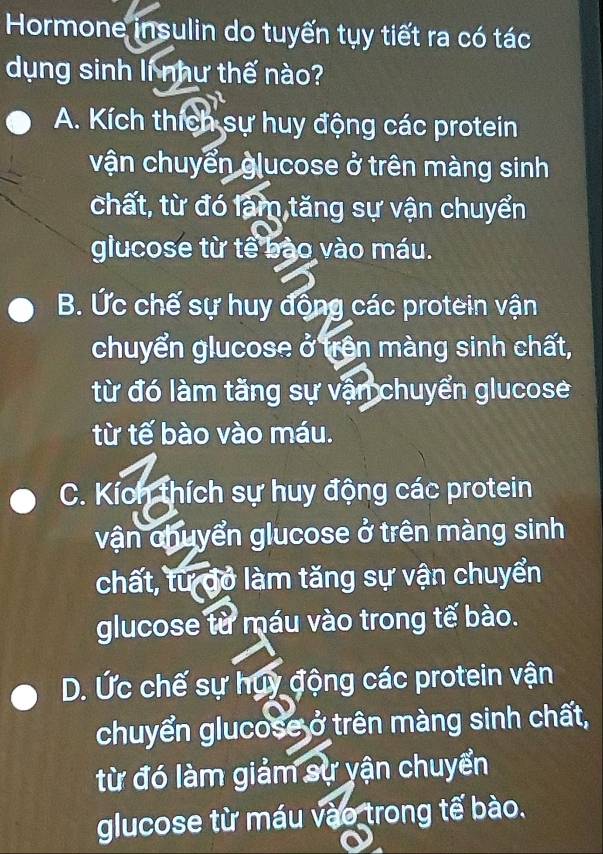 Hormone insulin do tuyến tụy tiết ra có tác
dụng sinh lí như thế nào?
A. Kích thích sự huy động các protein
vận chuyển glucose ở trên màng sinh
chất, từ đó làm tăng sự vận chuyển
glucose từ tế bào vào máu.
B. Ức chế sự huy động các protein vận
chuyển glucose ở trên màng sinh chất,
từ đó làm tăng sự vận chuyển glucose
từ tế bào vào máu.
C. Kích thích sự huy động các protein
vận chuyển glucose ở trên màng sinh
chất, tư đỏ làm tăng sự vận chuyển
glucose từ máu vào trong tế bào.
D. Ức chế sự huy động các protein vận
chuyển glucose ở trên màng sinh chất,
từ đó làm giảm sự yận chuyển
glucose từ máu vào trong tế bào.