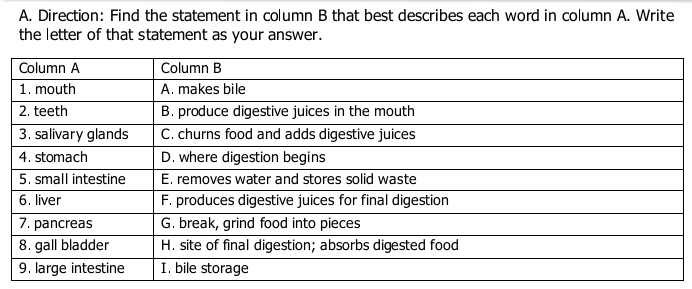 Direction: Find the statement in column B that best describes each word in column A. Write 
the letter of that statement as your answer.