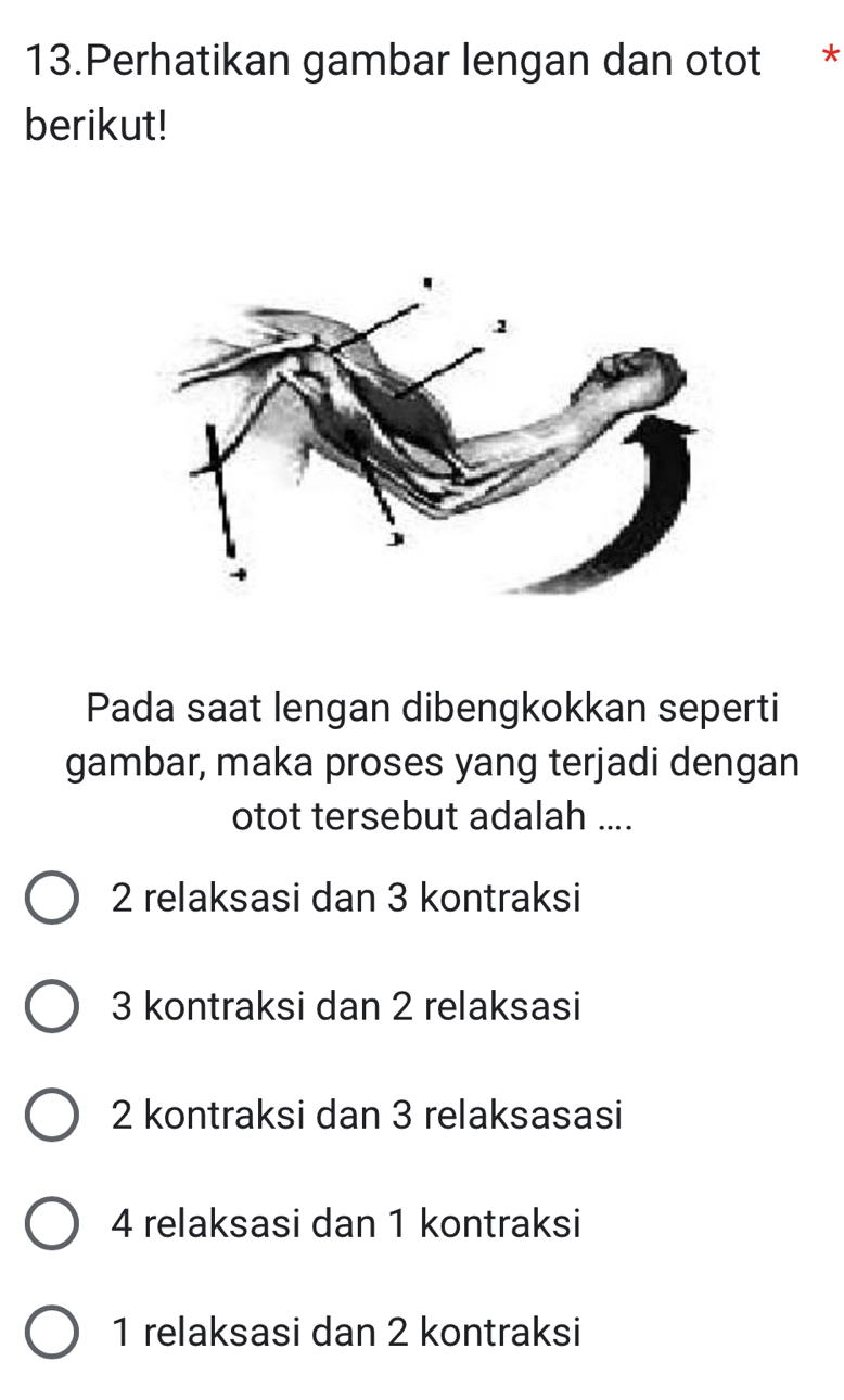 Perhatikan gambar lengan dan otot *£*
berikut!
Pada saat lengan dibengkokkan seperti
gambar, maka proses yang terjadi dengan
otot tersebut adalah ....
2 relaksasi dan 3 kontraksi
3 kontraksi dan 2 relaksasi
2 kontraksi dan 3 relaksasasi
4 relaksasi dan 1 kontraksi
1 relaksasi dan 2 kontraksi