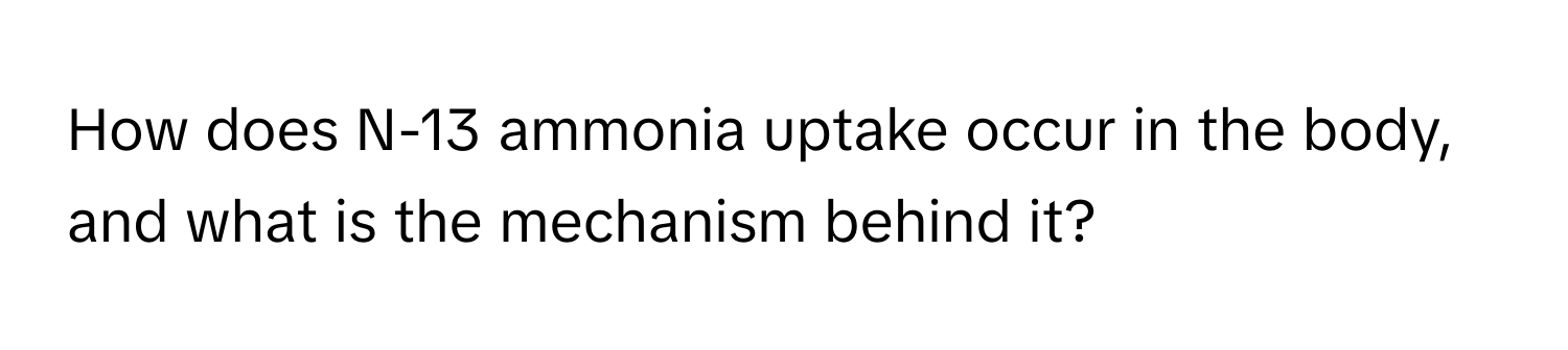 How does N-13 ammonia uptake occur in the body, and what is the mechanism behind it?