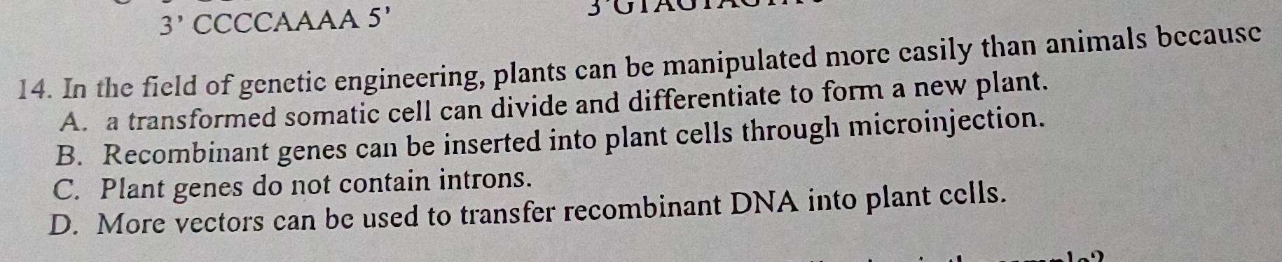 3' CCCCAAAA 5' 3 UIA
14. In the field of genetic engineering, plants can be manipulated more easily than animals because
A. a transformed somatic cell can divide and differentiate to form a new plant.
B. Recombinant genes can be inserted into plant cells through microinjection.
C. Plant genes do not contain introns.
D. More vectors can be used to transfer recombinant DNA into plant cells.