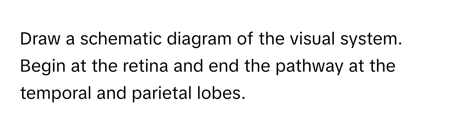 Draw a schematic diagram of the visual system. Begin at the retina and end the pathway at the temporal and parietal lobes.