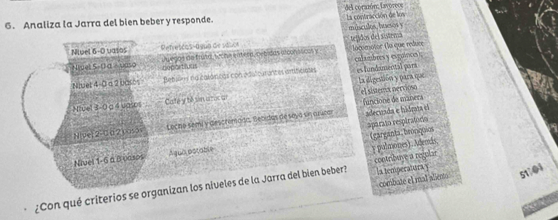 del corazón; favorece 
6. Analiza la Jarra del bien beber y responde. 
la contracción de los 
músculos, huesos y 
tejidos del sistema 
Nivel 6-0 vasos Refrescas-agua de sabor 
Nivel 5. 0 α Suaso Juegos de fruta, wche entera, nebidas alconóticos y locomotor (lo que reduce 
deportions 
es fundamental para 
Niuel 4-0 a 2 basos Bebsls na calóricas con edulcurantes artificiales calambres y esguinces); 
el sistemx nervioso 
Niuel 3-0 a 4 vasos Café y té sin azocar la digestión y para que 
funcione de manera 
N(ve) 2 - C a 2 yaso Leche semi y descrenada, Bebidas de soya sin azucar adecuada e hidrata el 
aparato respiratorio 
(garganta; bronquios 
Nivel 1-6 a B vasos Água aotable 
y pulmones). Además, 
combate el mal aliento 51 04 
¿Con qué criterios se organizan los niveles de la Jarra del bien beber? contribuye a regular la temperaturay