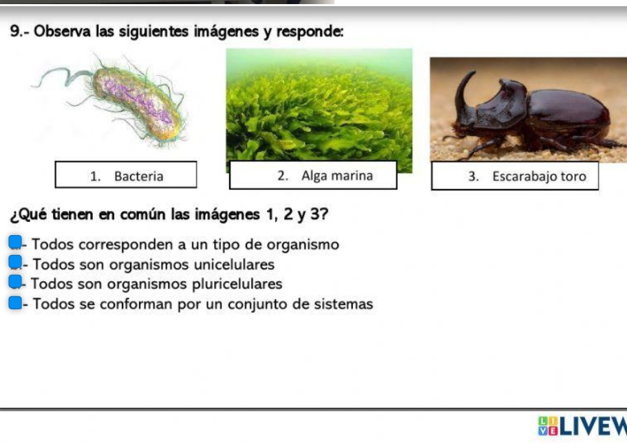 9.- Observa las siguientes imágenes y responde:
1. Bacteria
¿Qué tienen en común las imágenes 1, 2 y 3?
Todos corresponden a un tipo de organismo
. Todos son organismos unicelulares
Todos son organismos pluricelulares
- Todos se conforman por un conjunto de sistemas
LIVEW