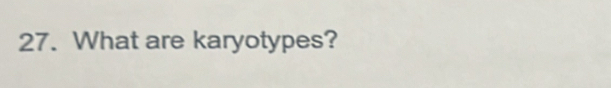 What are karyotypes?