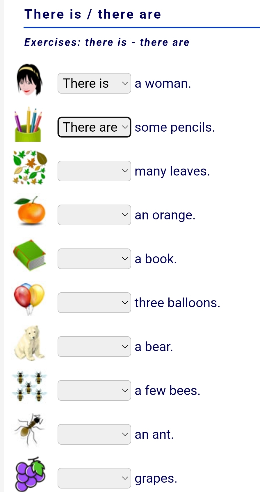 There is / there are
Exercises: there is - there are
There is a woman.
There are some pencils.
many leaves.
an orange.
a book.
three balloons.
a bear.
a few bees.
an ant.
grapes.