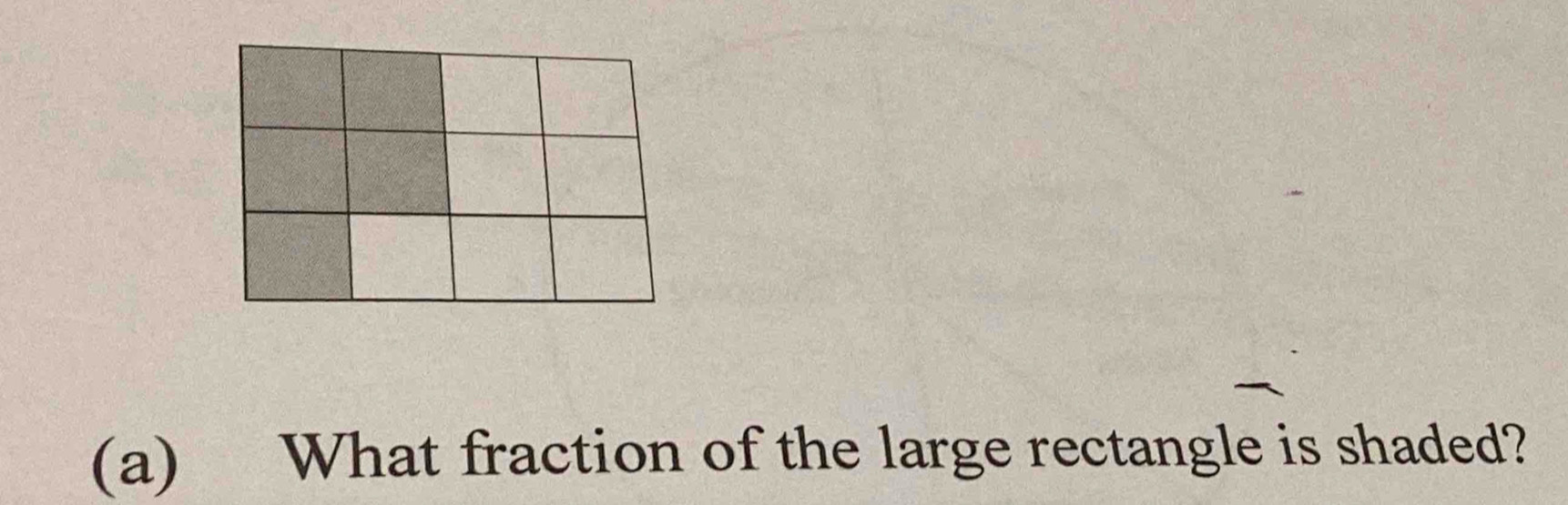 What fraction of the large rectangle is shaded?