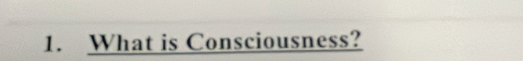 What is Consciousness?