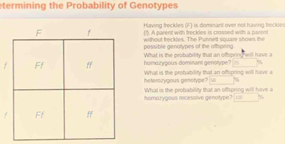 termining the Probability of Genotypes 
Having freckles (F) is dominant over not having freckles 
(1'). A parent with freckles is crossed with a parent 
without freckles. The Punnett square shows the 
possible genotypes of the offspring. 
What is the probability that an offspring will have a 
fhomozygous dominant genotype? %
What is the probability that an offspring will have a 
heterozygous genotype? So %
What is the probability that an offspring will have a 
homazygous recessive genotype? 100 %
f