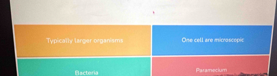 Typically larger organisms One cell are microscopic
Bacteria Paramecium