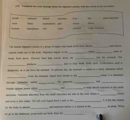 (19) Complete the cloze passage about the digestive system, with the words in the box below. 
Mouth nutrients absorb enzymes liver bie small intestimes 
Anus filters hydrochloric gall mocts Saliva 
Rectum oesophagus vilSi stomach Large intestines 
The human digestive system is a group of organs that break down food, absorb_ and remove 
unused waste out of the body. Digestion begins in the _ where _starts to 
break food down. Chewed food then travels down the _into the stomach. The 
_produces _acid to help break down food. Hydrochloric acid is 
dangerous, as it can burn the stomach. To prevent this, the stomach is coated in a slimy substance called 
_ 
. From the stomach, liquid food travels to the _where it is absorbed 
through “tentacles” called _The pancreas. _and_ 
bladder release juices called _and _to help absorb nutrients in the small 
intestines. Nutrients absorbed from the small intestines are sent to the liver where it _toxins 
and turns it into waste. The left over liquid food is sent to the _It is the last chance 
for the body to absorb _and nutrients before it is stored in the _as poop. When 
we go to the bathroom, poop exits our body from the_