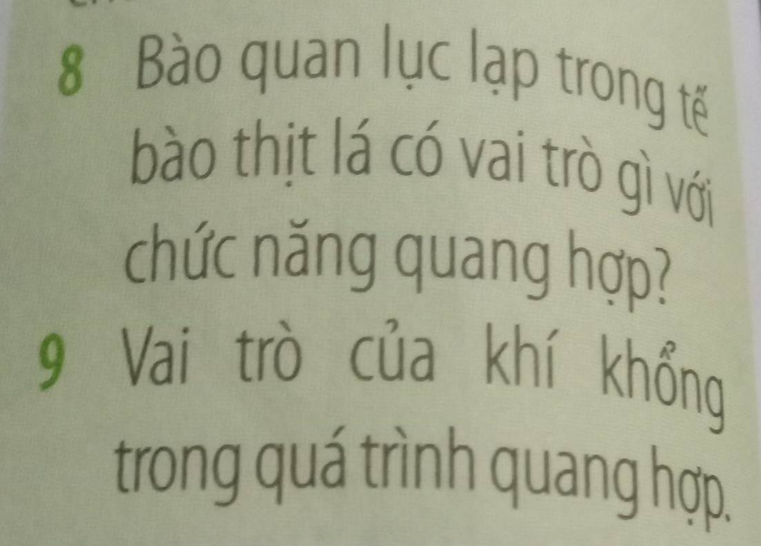 Bào quan lục lạp trong tế 
bào thịt lá có vai trò gì với 
chức năng quang hợp? 
9 Vai trò của khí khổng 
trong quá trình quang hợp.