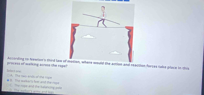 process of walking across the rope? According to Newton's third law otion forces take place in this
Select one:
A. The two ends of the rope
B. The walker's feet and the rope
C. The rope and the balancing pole
D. The walker's arms and legs