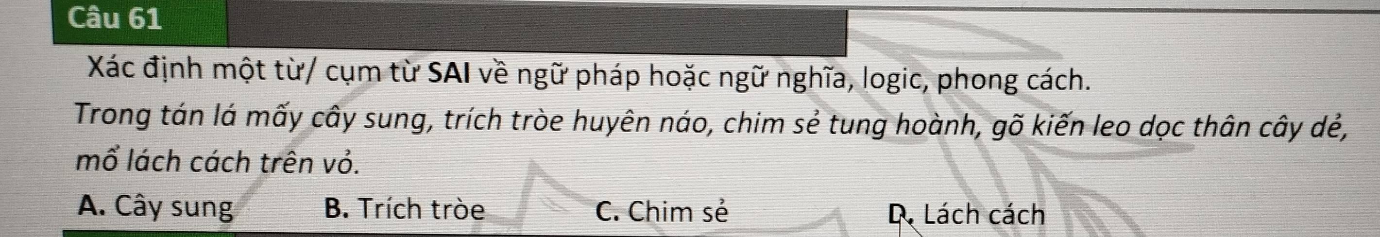 Xác định một từ/ cụm từ SAI về ngữ pháp hoặc ngữ nghĩa, logic, phong cách.
Trong tán lá mấy cây sung, trích tròe huyên náo, chim sẻ tung hoành, gõ kiến leo dọc thân cây dẻ,
mổ lách cách trên vỏ.
A. Cây sung B. Trích tròe C. Chim sẻ D. Lách cách