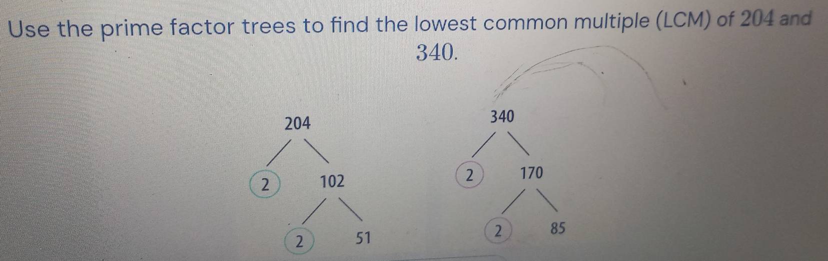 Use the prime factor trees to find the lowest common multiple (LCM) of 204 and
340.
340
2 170
2
85