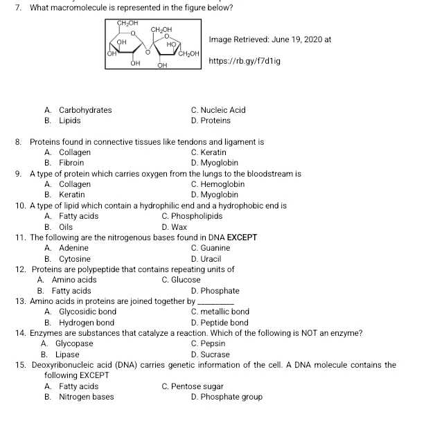 What macromolecule is represented in the figure below?
mage Retrieved: June 19, 2020 at
ttps://rb.gy/f7d1ig
A. Carbohydrates C. Nucleic Acid
B. Lipids D. Proteins
8. Proteins found in connective tissues like tendons and ligament is
A. Collagen C. Keratin
B. Fibroin D. Myoglobin
9. A type of protein which carries oxygen from the lungs to the bloodstream is
A. Collagen C. Hemoglobin
B. Keratin D. Myoglobin
10. A type of lipid which contain a hydrophilic end and a hydrophobic end is
A. Fatty acids C. Phospholipids
B. Oils D. Wax
11. The following are the nitrogenous bases found in DNA EXCEPT
A. Adenine C. Guanine
B. Cytosine D. Uracil
12. Proteins are polypeptide that contains repeating units of
A. Amino acids C. Glucose
B. Fatty acids D. Phosphate
13. Amino acids in proteins are joined together by_
A. Glycosidic bond C. metallic bond
B. Hydrogen bond D. Peptide bond
14. Enzymes are substances that catalyze a reaction. Which of the following is NOT an enzyme?
A. Glycopase C. Pepsin
B. Lipase D. Sucrase
15. Deoxyribonucleic acid (DNA) carries genetic information of the cell. A DNA molecule contains the
following EXCEPT
A. Fatty acids C. Pentose sugar
B. Nitrogen bases D. Phosphate group