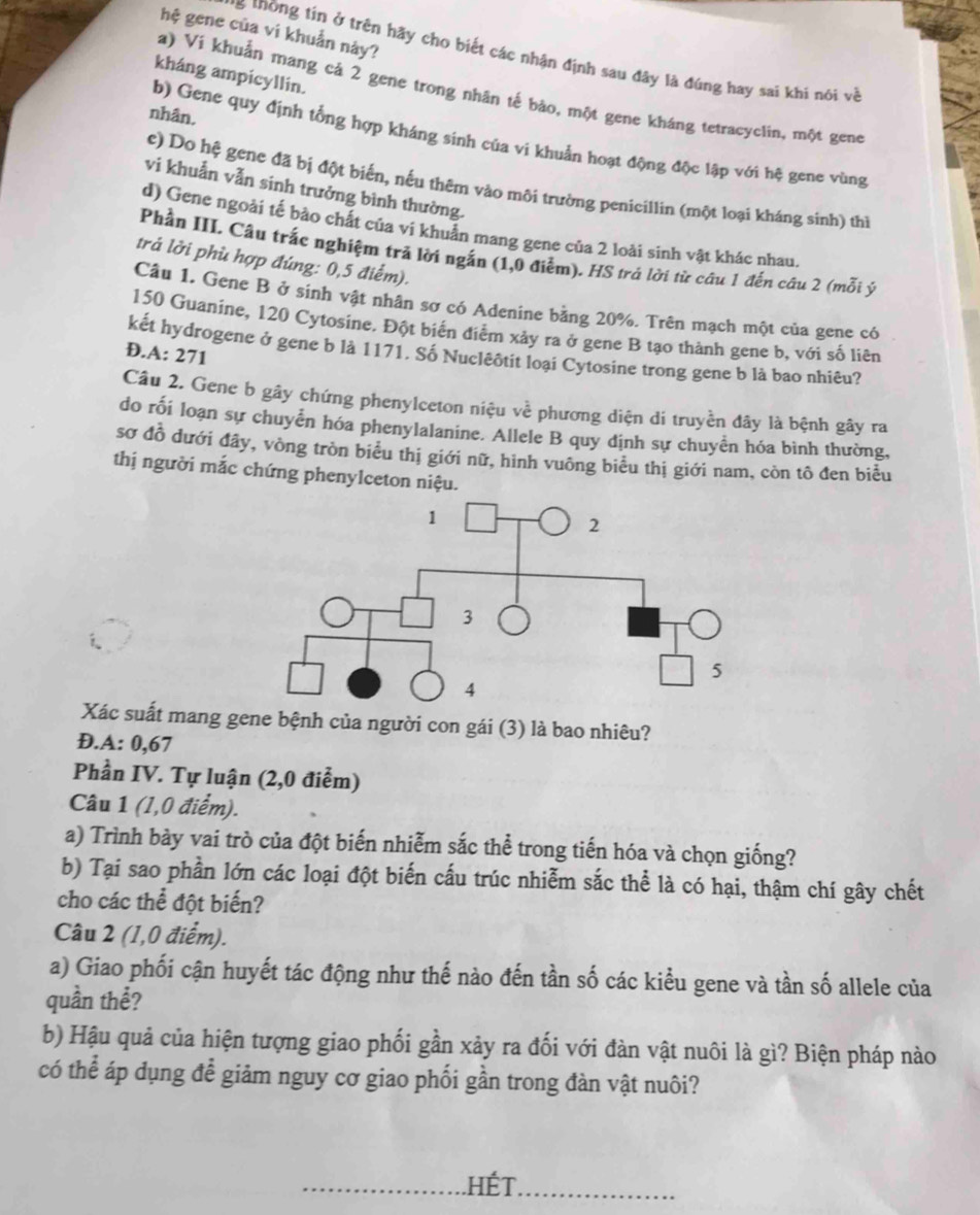 hệ gene của vi khuẩn này?
vg tông tin ở trên hãy cho biết các nhận định sau đây là đúng hay sai khi nói và
kháng ampicyllin.
a) Ví khuẩn mang cả 2 gene trong nhân tế bào, một gene kháng tetracyclin, một gene
nhân.
b) Gene quy định tổng hợp kháng sinh của vi khuẩn hoạt động độc lập với hệ gene vùng
c) Do hệ gene đã bị đột biến, nếu thêm vào môi trường penicillin (một loại kháng sinh) thì
vi khuẫn vẫn sinh trưởng bình thường.
d) Gene ngoài tế bảo chất của vi khuẩn mang gene của 2 loài sinh vật khác nhau.
Phần III. Câu trắc nghiệm trả lời ngắn (1,0 điễm). HS trả lời từ câu 1 đến câu 2 (mỗi ý
trả lởi phù hợp đúng: 0,5 điểm).
Câu 1. Gene B ở sinh vật nhân sơ có Adenine bằng 20%. Trên mạch một của gene có
150 Guanine, 120 Cytosine. Đột biển điểm xảy ra ở gene B tạo thành gene b, với số liên
kết hydrogene ở gene b là 1171. Số Nuclêôtit loại Cytosine trong gene b là bao nhiêu?
Đ.A: 271
Câu 2. Gene b gây chứng phenylceton niệu về phương diện di truyền đây là bệnh gây ra
do rối loạn sự chuyển hóa phenylalanine. Allele B quy định sự chuyên hóa bình thường,
sơ đồ dưới đây, vòng tròn biểu thị giới nữ, hình vuông biểu thị giới nam, còn tô đen biểu
thị người mắc chứng phenylceton niệu.
Xác suất mang gene bệnh của người con gái (3) là bao nhiêu?
Đ.A: 0,67
Phần IV. Tự luận (2,0 điểm)
Câu 1 (1,0 điểm).
a) Trình bày vai trò của đột biến nhiễm sắc thể trong tiến hóa và chọn giống?
b) Tại sao phần lớn các loại đột biến cấu trúc nhiễm sắc thể là có hại, thậm chí gây chết
cho các thể đột biến?
Câu 2 (1,0 điểm).
a) Giao phối cận huyết tác động như thế nào đến tần số các kiểu gene và tần số allele của
quần thể?
b) Hậu quả của hiện tượng giao phối gần xảy ra đối với đàn vật nuôi là gì? Biện pháp nào
có thể áp dụng để giảm nguy cơ giao phối gần trong đàn vật nuôi?
.HÉT