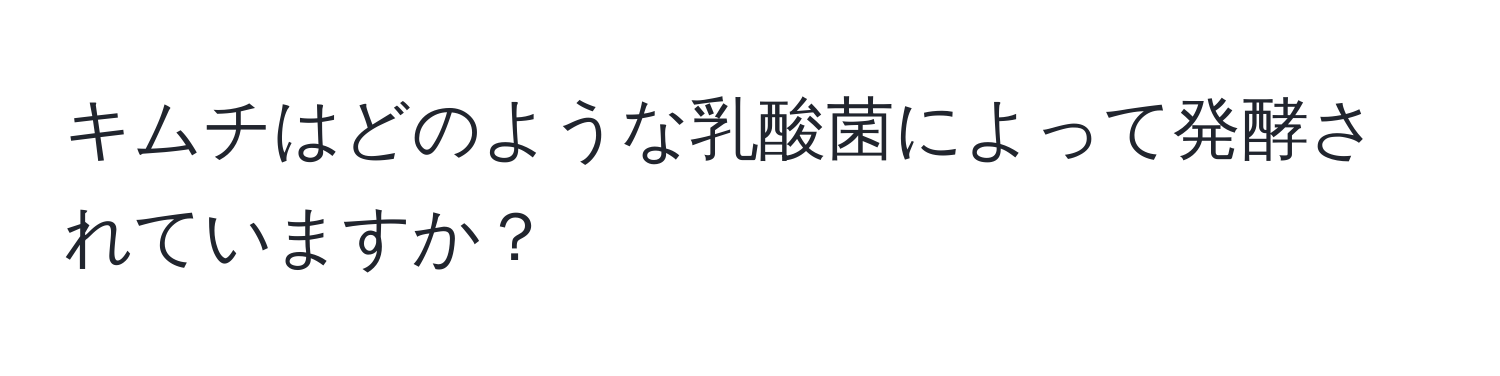 キムチはどのような乳酸菌によって発酵されていますか？