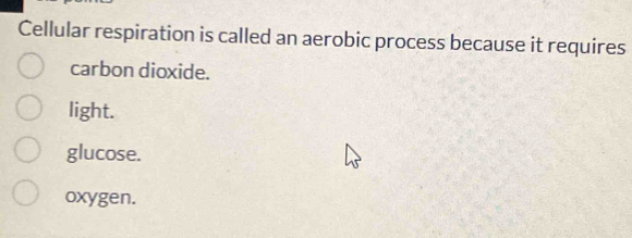 Cellular respiration is called an aerobic process because it requires
carbon dioxide.
light.
glucose.
oxygen.