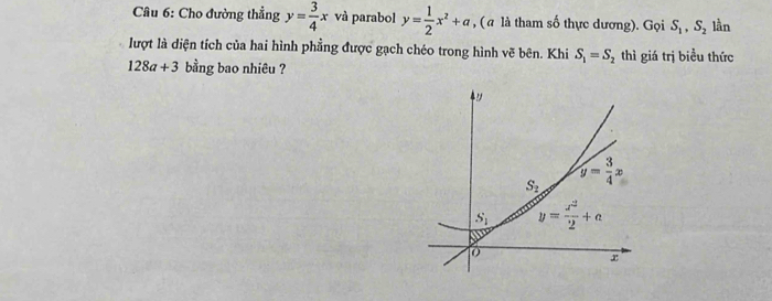 Cho đường thẳng y= 3/4 x và parabol y= 1/2 x^2+a , (α là tham số thực dương). Gọi S_1,S_2 lần
lượt là diện tích của hai hình phẳng được gạch chéo trong hình vẽ bên. Khi S_1=S_2 thì giá trị biều thức
128a+3 bằng bao nhiêu ?