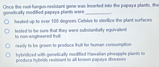 Once the root-fungus-resistant gene was inserted into the papaya plants, the
genetically modified papaya plants were_
heated up to over 100 degrees Celsius to sterilize the plant surfaces
tested to be sure that they were substantially equivalent
to non-engineered fruit
ready to be grown to produce fruit for human consumption
hybridized with genetically modified Hawaiian pineapple plants to
produce hybrids resistant to all known papaya diseases