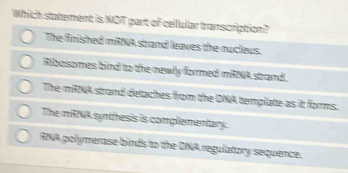 Which statement is NOT part of cellular transcription?
The finished mRNA strand leaves the nucleus.
Ribosomes bind to the newly formed mRNA strand.
The mRNA strand detaches from the DNA template as it forms.
The mRNA synthesis is complementary.
RNA polymerase binds to the DNA regulatory sequence.